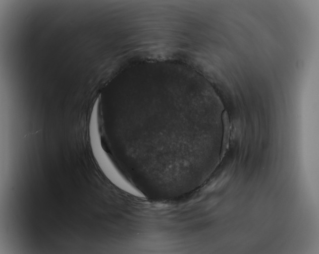 X0000094181202200711161721