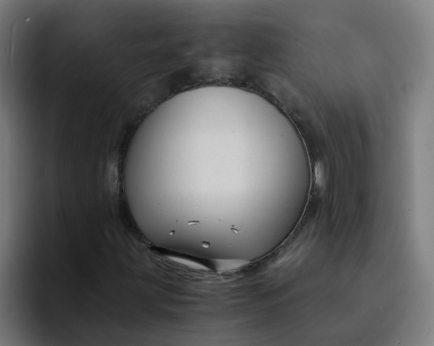 X0000094181203200711161721