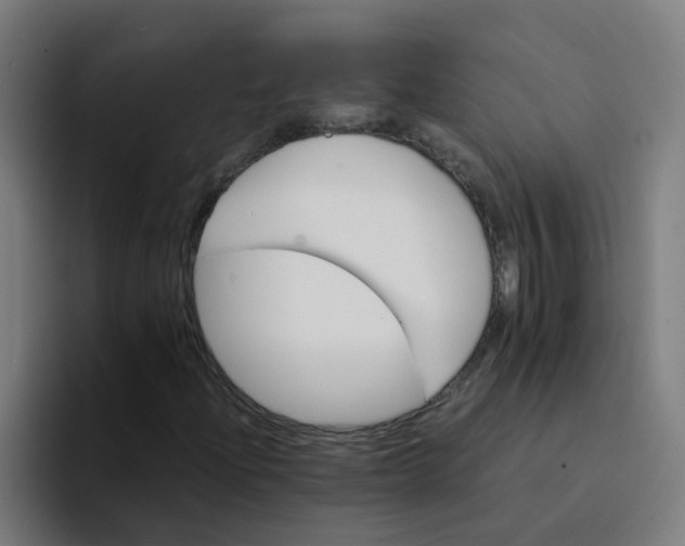 X0000094181204200711161721