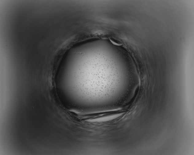 X0000094181205200711161721