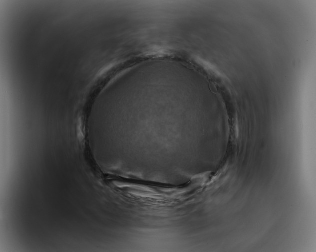 X0000094181206200711161721