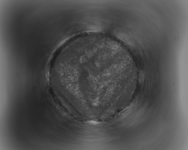 X0000094181208200711161721