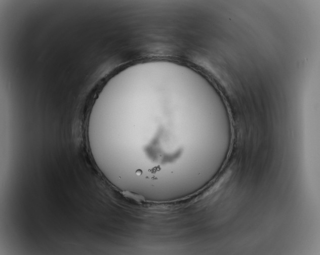 X0000094181211200711161721