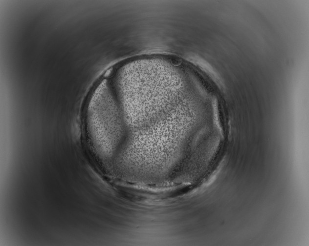 X0000094181212200711161721