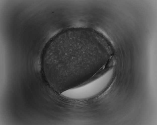 X0000094181213200711161721