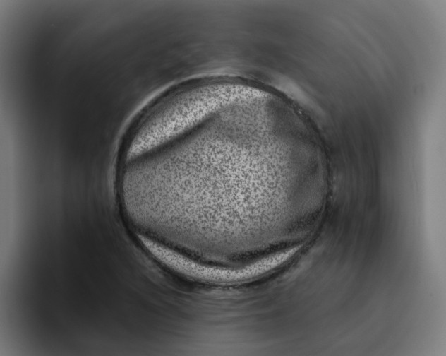 X0000094181216200711161721