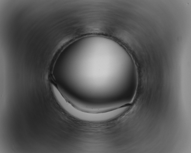X0000094181218200711161721