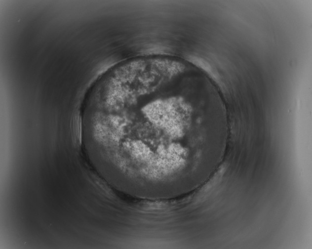 X0000094181219200711161721
