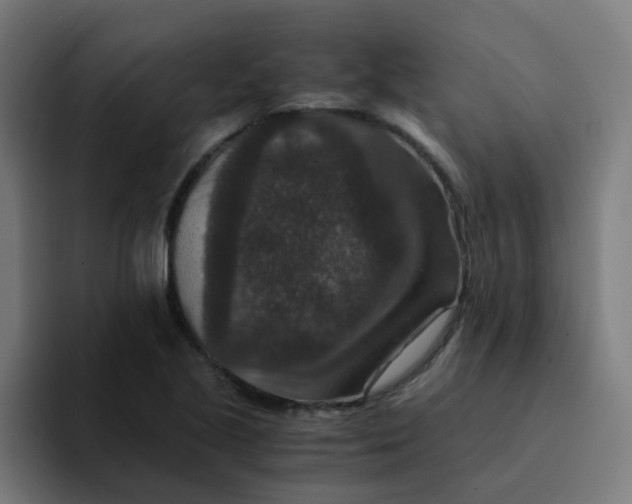 X0000094181221200711161721