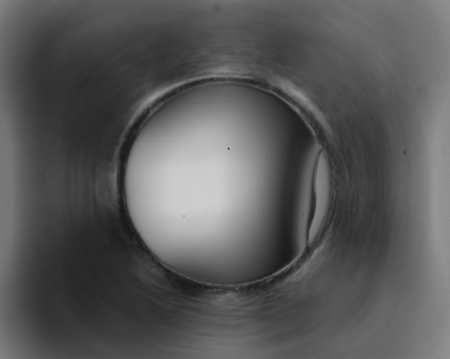 X0000094181222200711161721