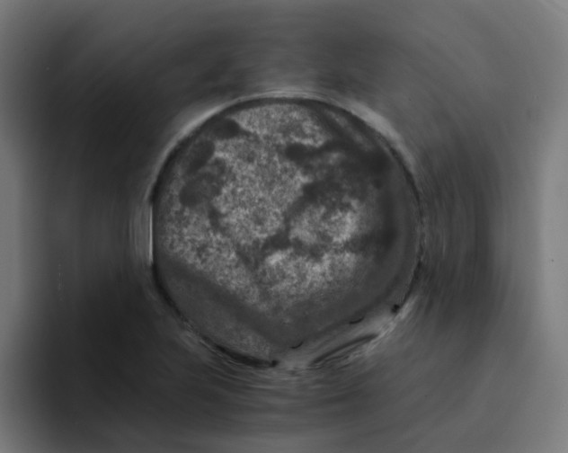 X0000094181223200711161721