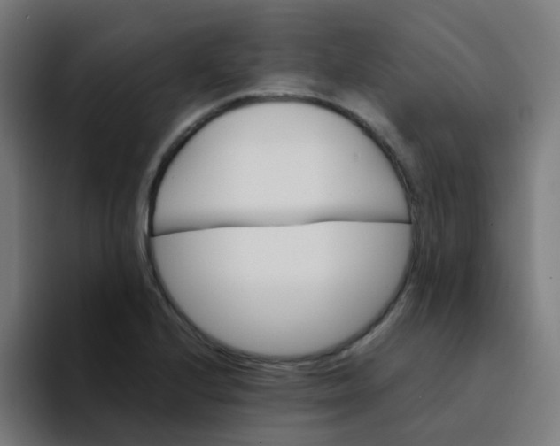 X0000094181224200711161721