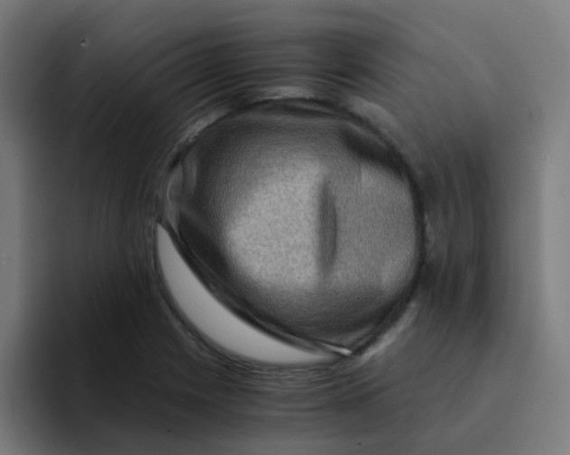 X0000094181225200711161721