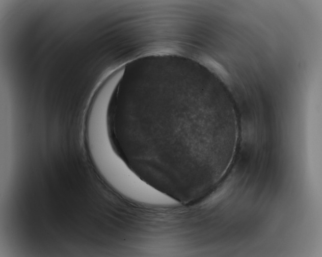 X0000094181226200711161721