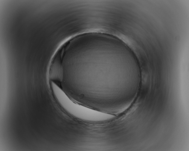 X0000094181230200711161721