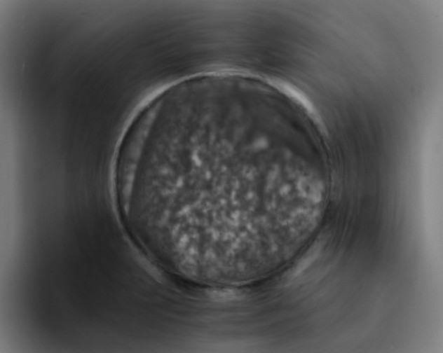 X0000094181231200711161721