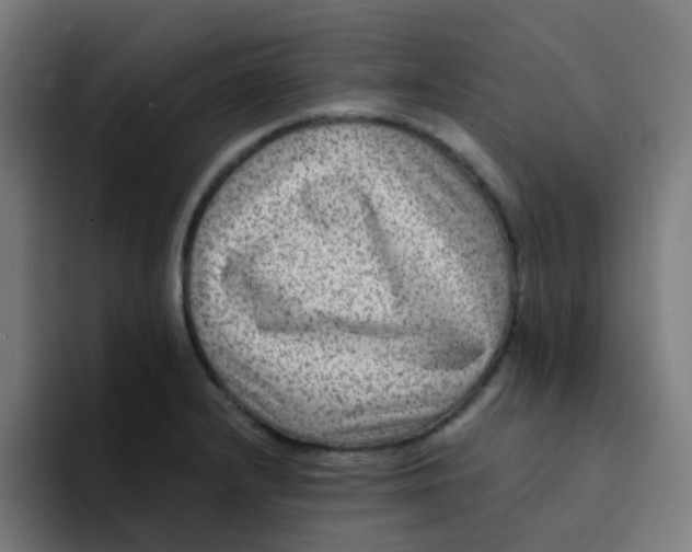 X0000094181232200711161721