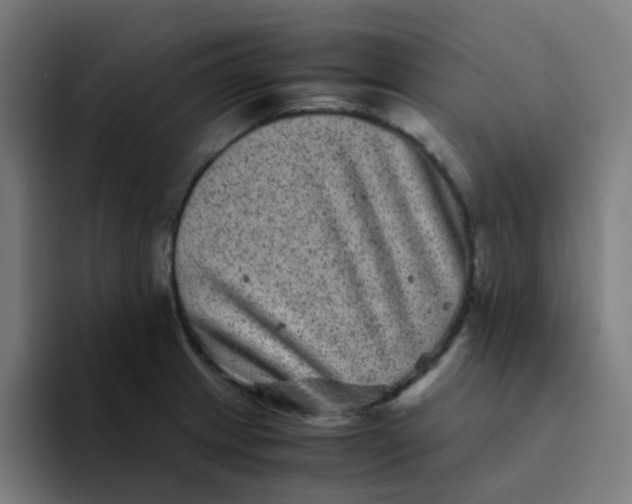 X0000094181233200711161721