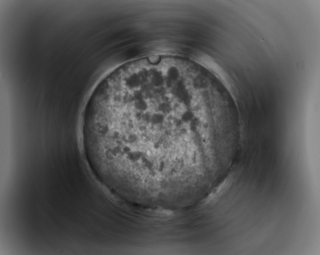 X0000094181235200711161721