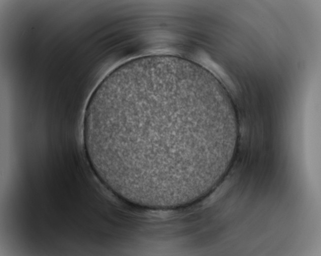 X0000094181236200711161721