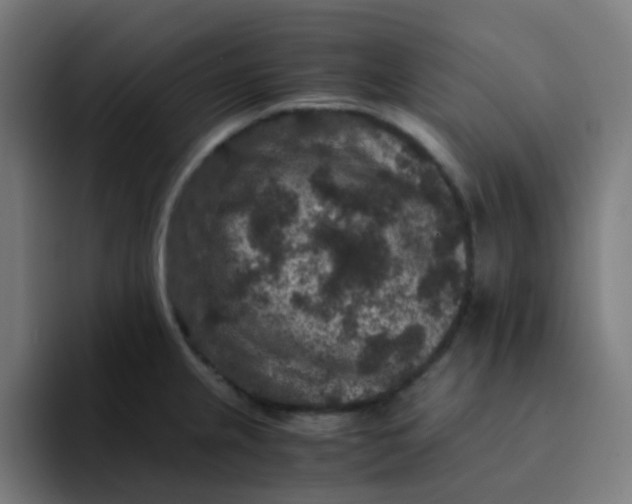 X0000094181237200711161721