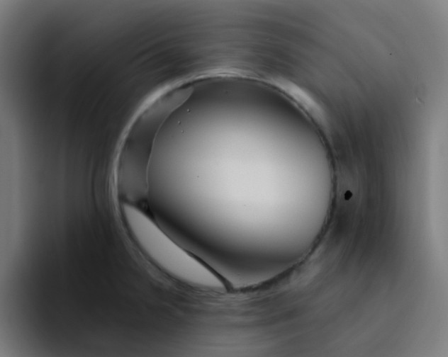 X0000094181238200711161721