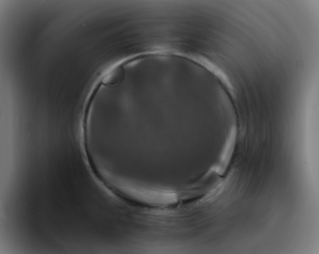 X0000094181239200711161721