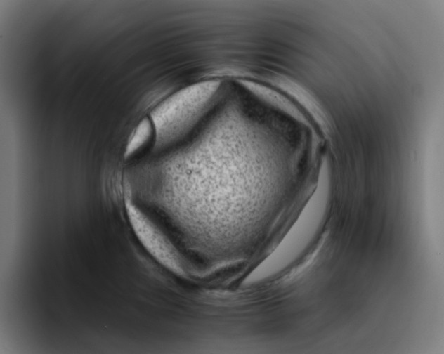 X0000094181241200711161721
