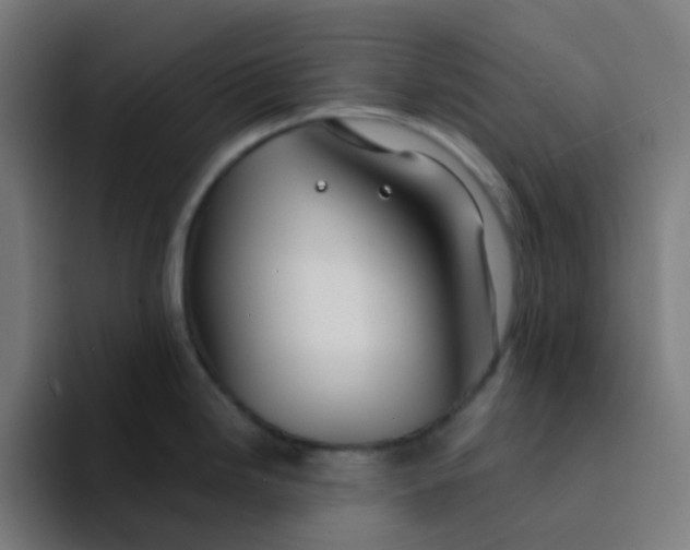 X0000094181246200711161721