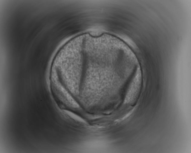 X0000094181248200711161721