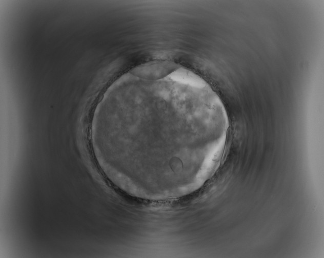 X0000094181249200711161721
