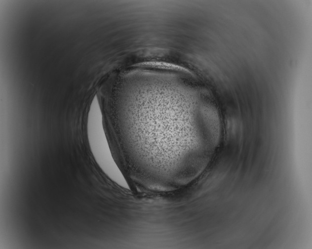X0000094181250200711161721