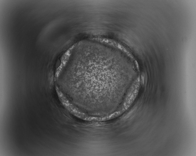 X0000094181251200711161721