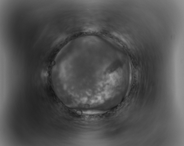 X0000094181254200711161721