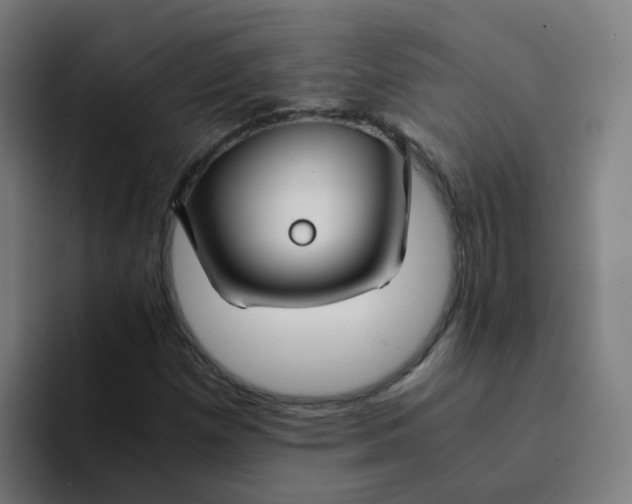 X0000094181257200711161721