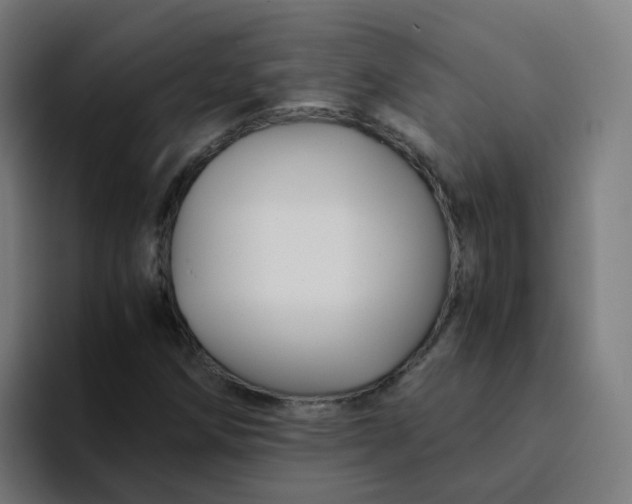 X0000094181258200711161721