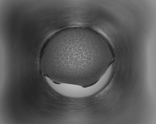 X0000094181259200711161721