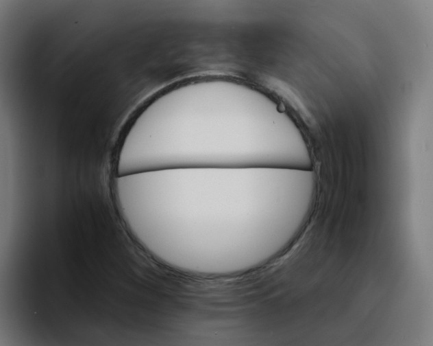 X0000094181260200711161721