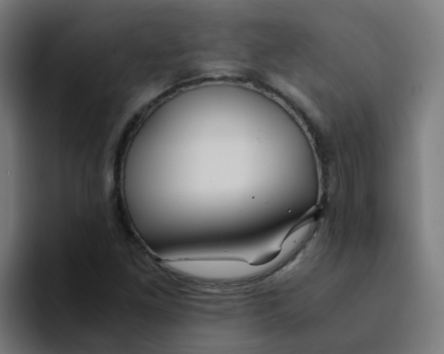 X0000094181261200711161721