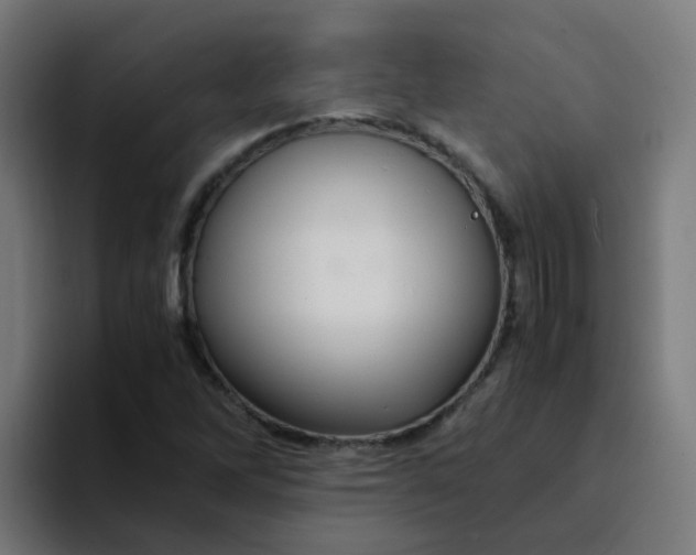 X0000094181262200711161721