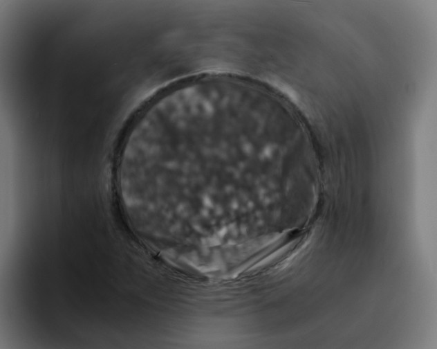 X0000094181263200711161721