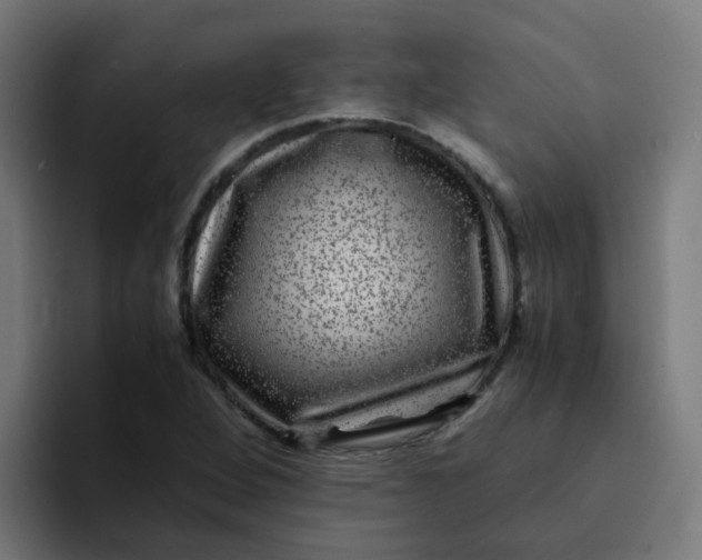 X0000094181264200711161721