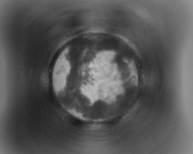 X0000094181266200711161721