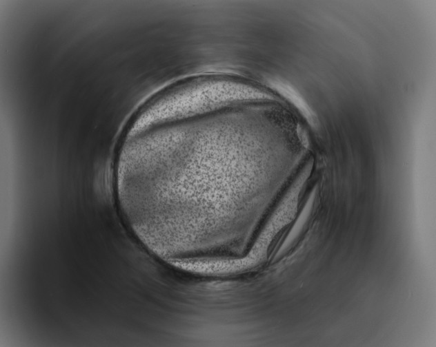 X0000094181268200711161721