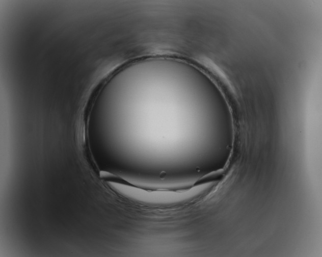 X0000094181269200711161721