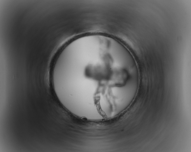 X0000094181270200711161721