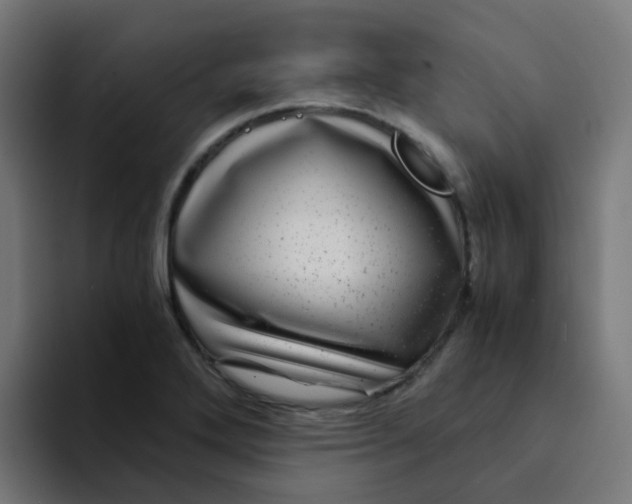X0000094181272200711161721