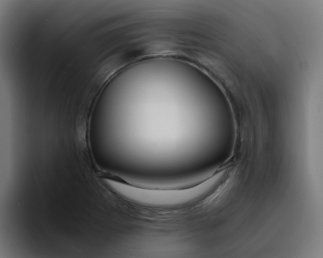 X0000094181273200711161721