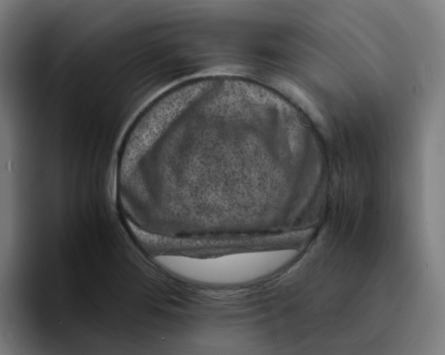 X0000094181276200711161720