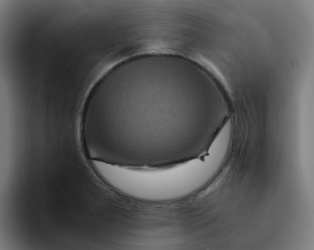 X0000094181277200711161720